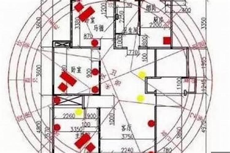 坐西向东适合什么生肖的人住