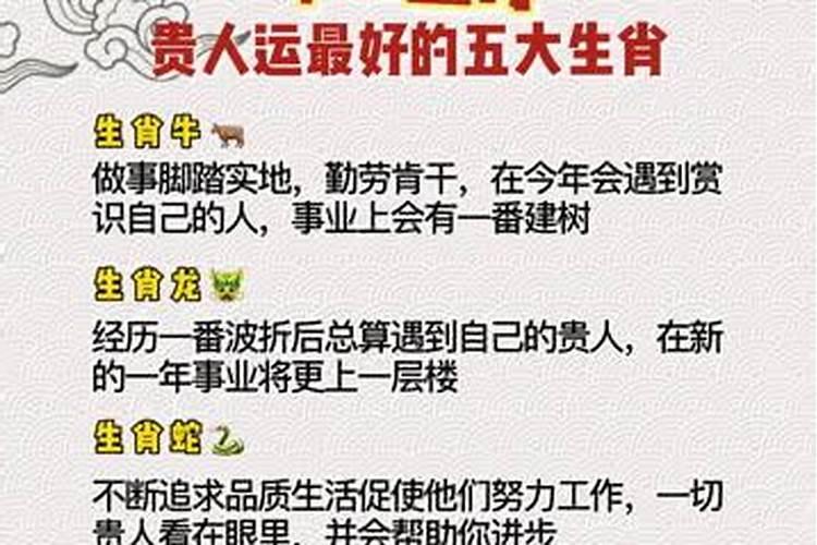 十二生肖2020以后十年运势