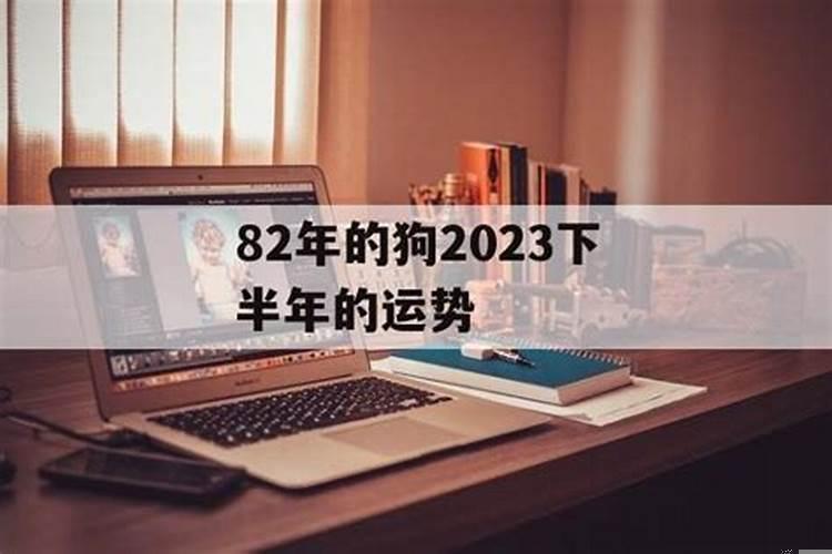 82年的狗在2021年下半年的运势怎么样