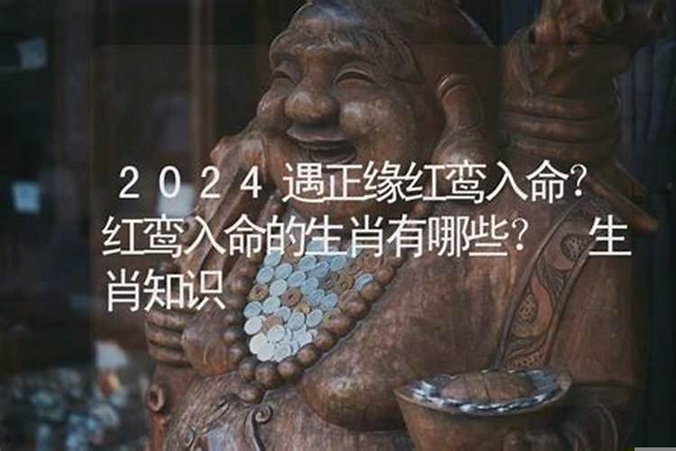 2023年正缘红鸾入命的生肖是什么