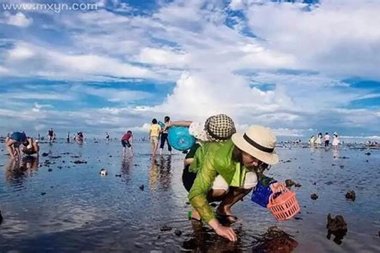 梦见到海边捡海鲜