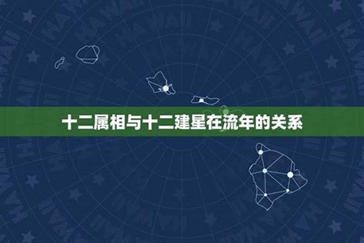 星座和属相一样吗