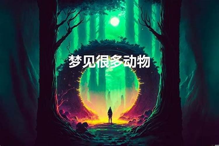 做梦梦见动物是什么意思呢