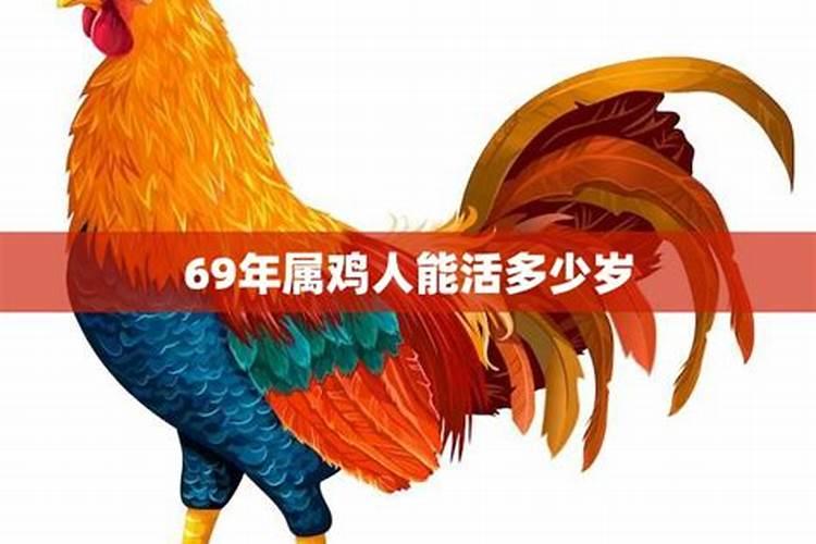 69年属鸡52岁2021年运势