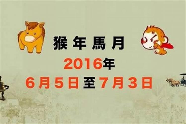 2023年虎年属鸡女全年运势