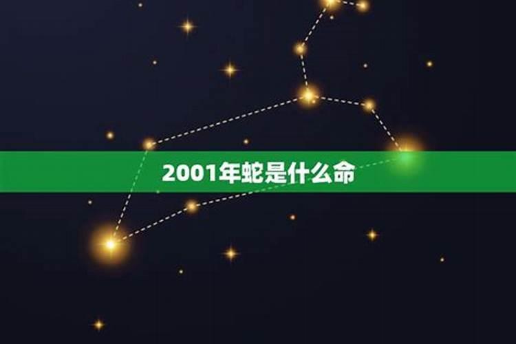 2001年出生的属蛇人是什么命