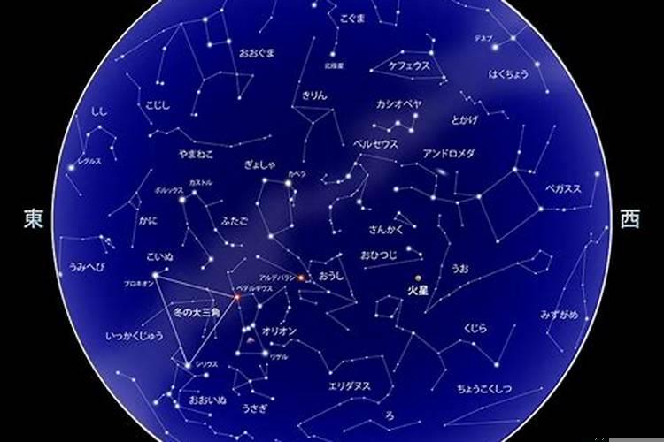 2023年1月24日星座运势指数