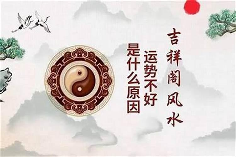 偏财运很好,但是也容易漏财