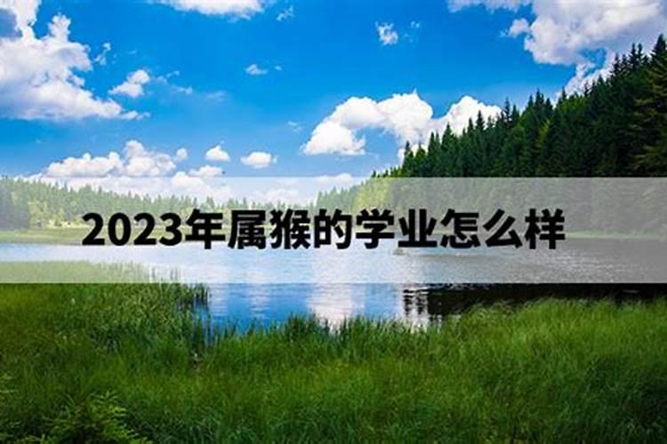 2004年的猴在2021年高考运气