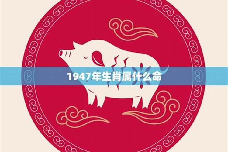 生肖猪1947年运势大全