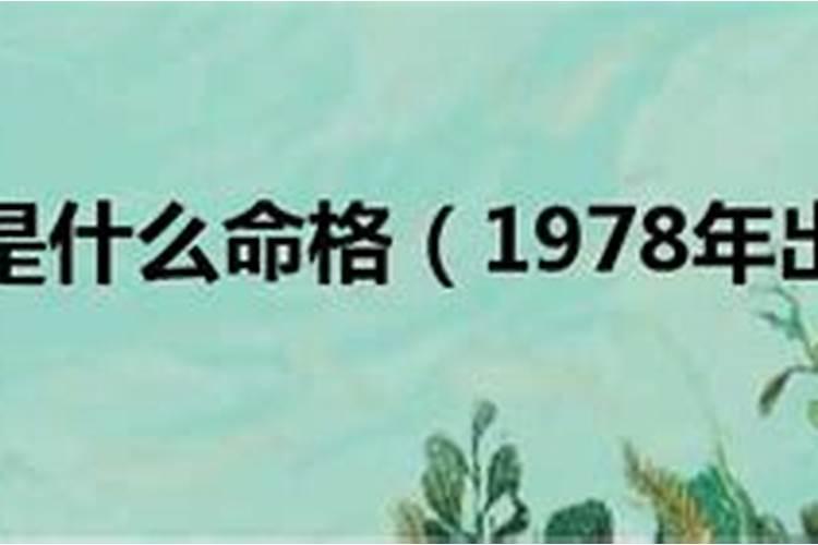 1978年出生是什么命格