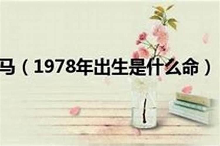 1978年出生是什么命格