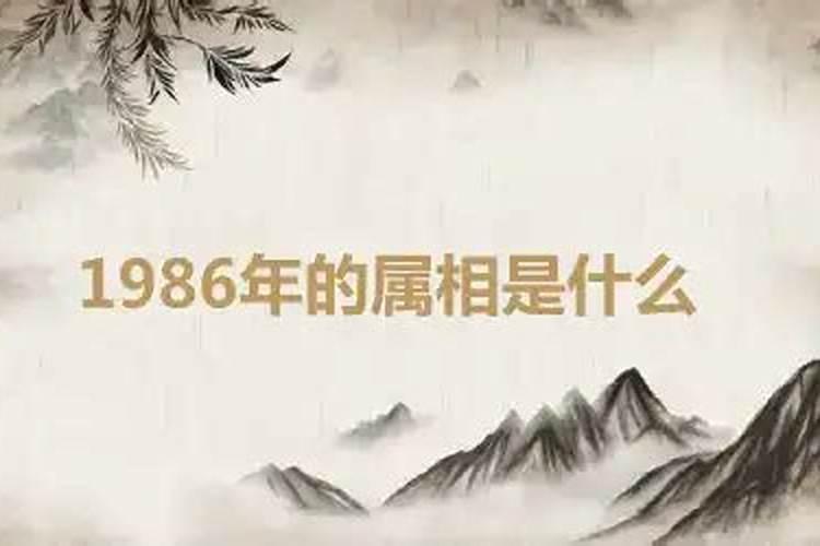 86年出生的属相是什么