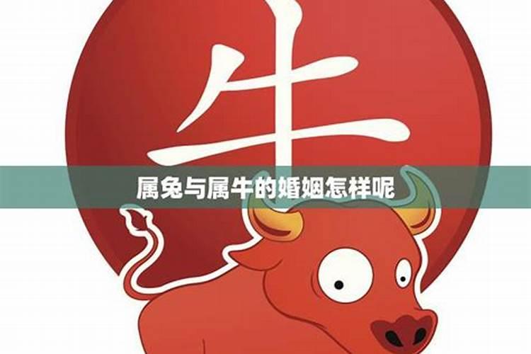 梦到自己儿子死了好不好呢