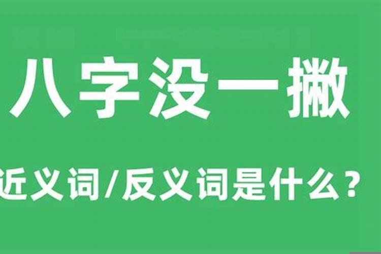 八字两撇是什么意思啊