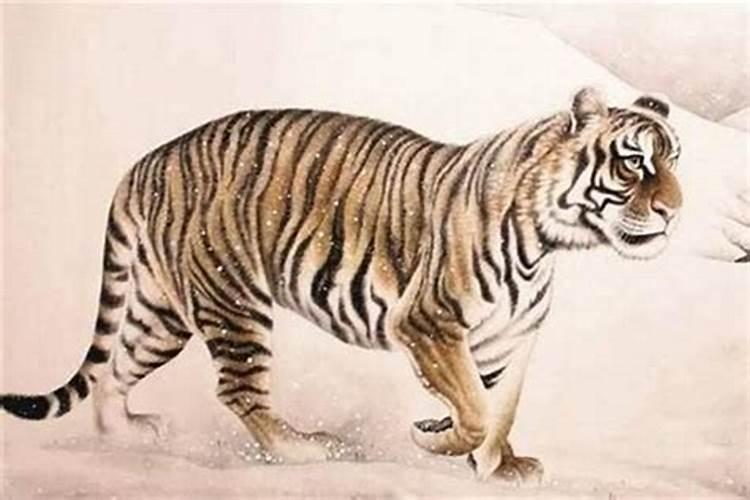 62年正月出生的虎是什么命