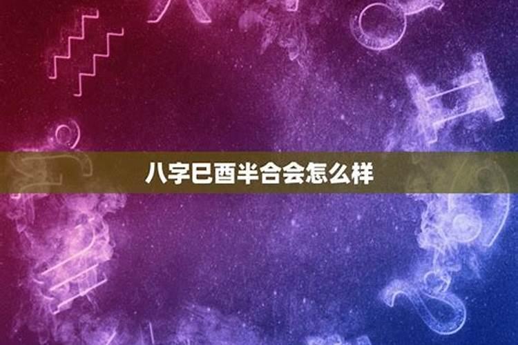 八字巳酉半合亥冲开会怎样