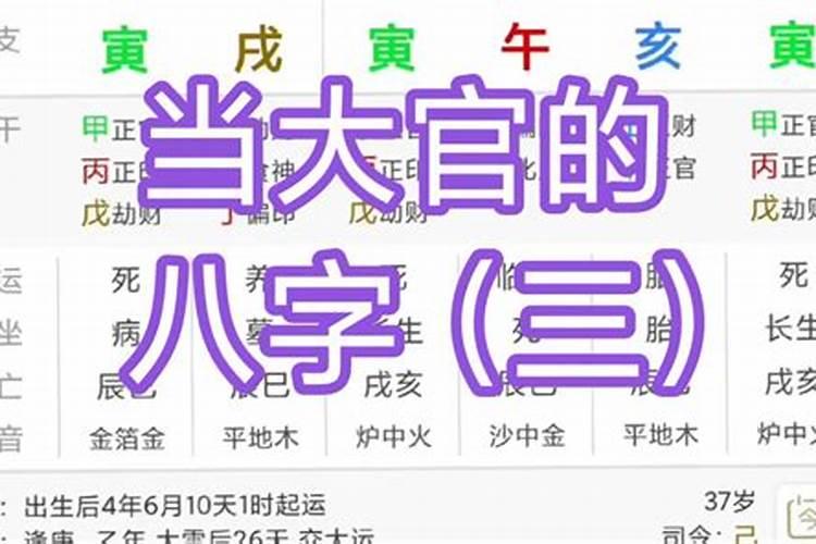 当大官八字案例