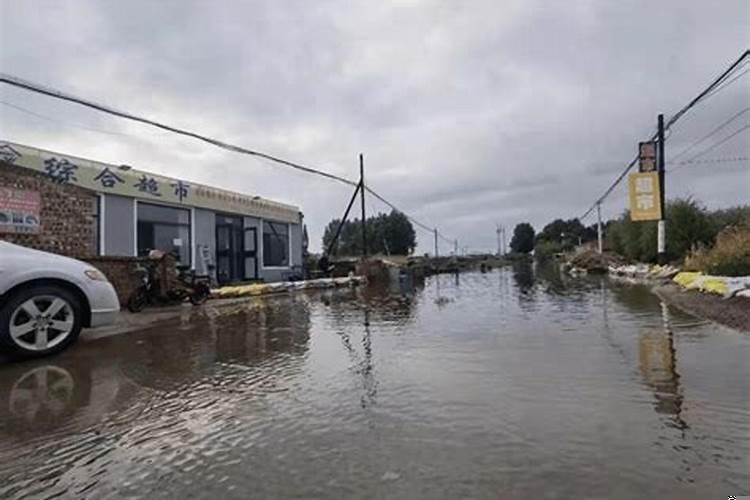 梦见种玉米下雨了