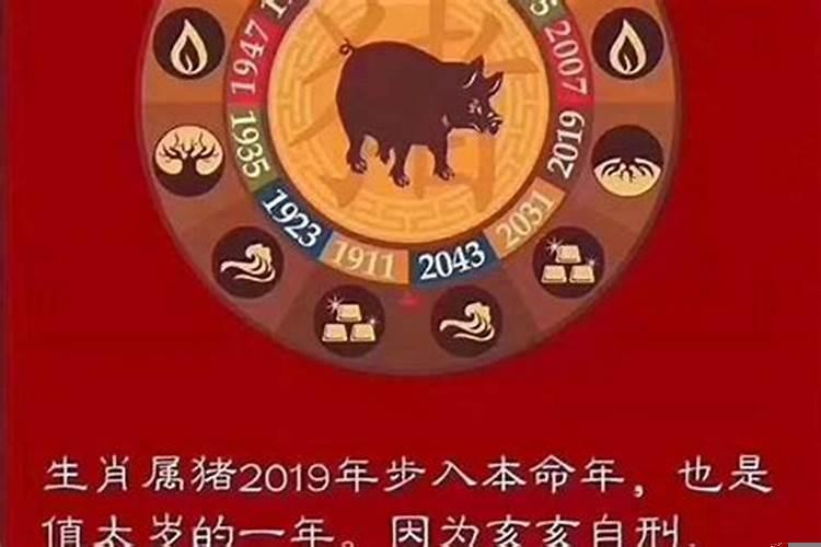 今年什么生肖害太岁2021