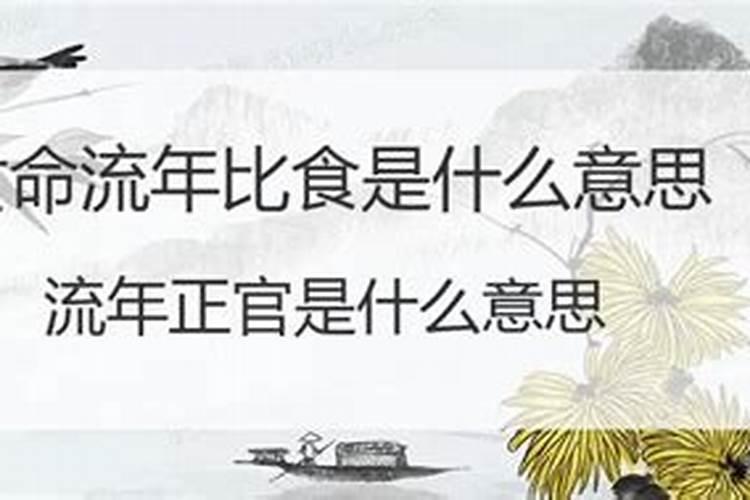 流年比食是什么意思