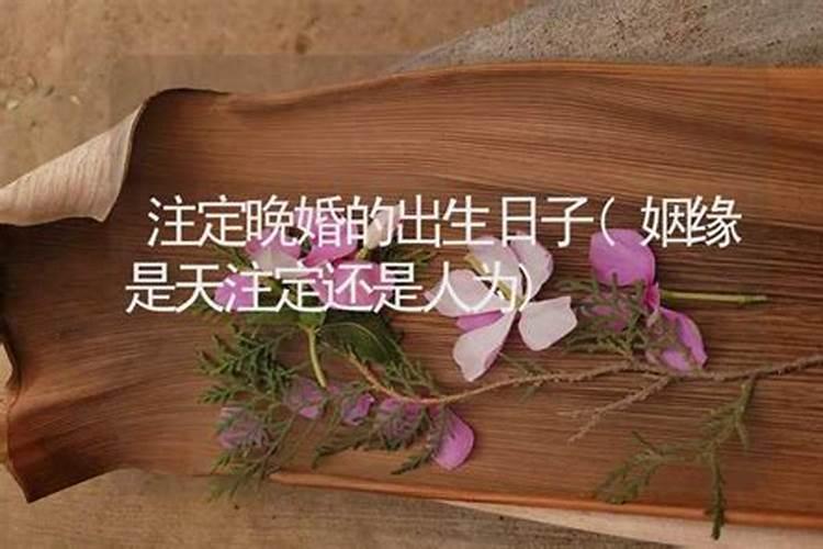 男女之间的姻缘是天注定的吗