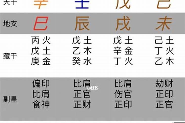 怎样学会算八字算命