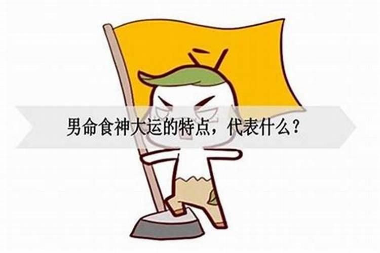 大运才食是什么意思