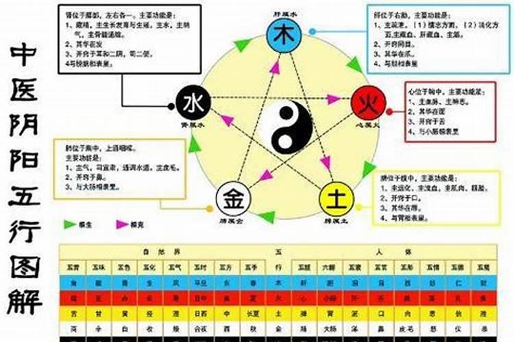 五行属金和水的关系