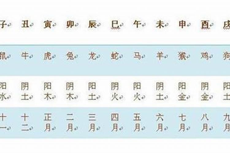 八字命带华盖的人