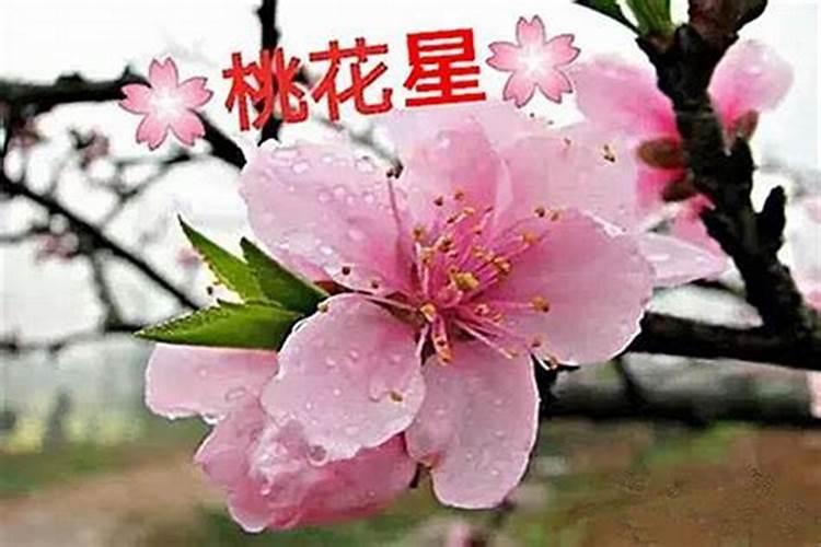 怎样看八字带桃花