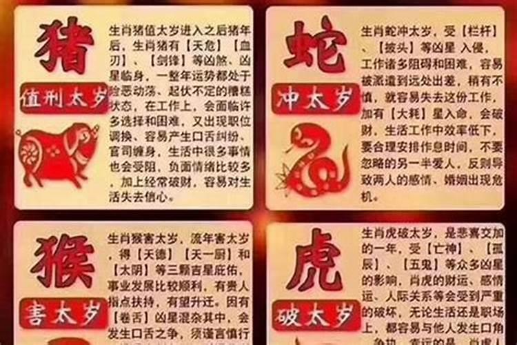 95年出生属猪哪年犯太岁