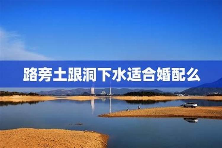 94年属狗今年2021年多大岁数