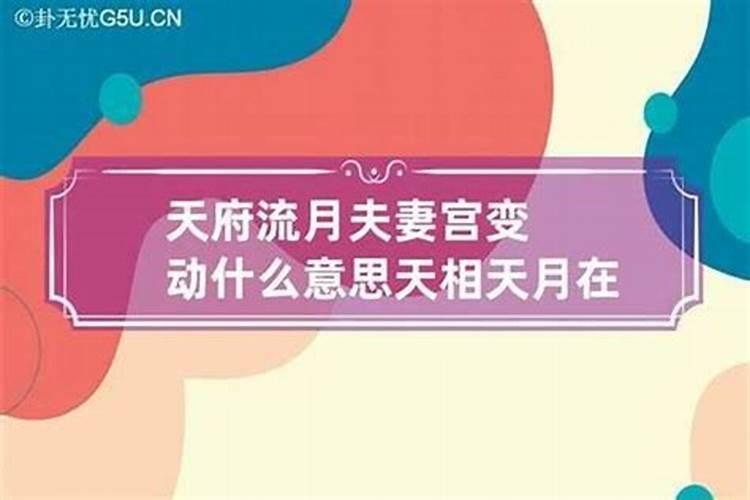 五行缺木属猪的男孩起名