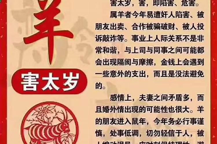 婚姻中属相不合怎么破解