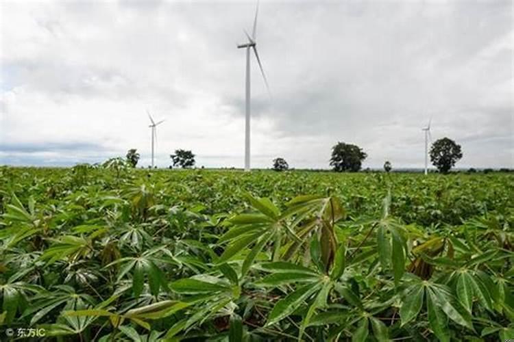 清明节2022年几月几号过