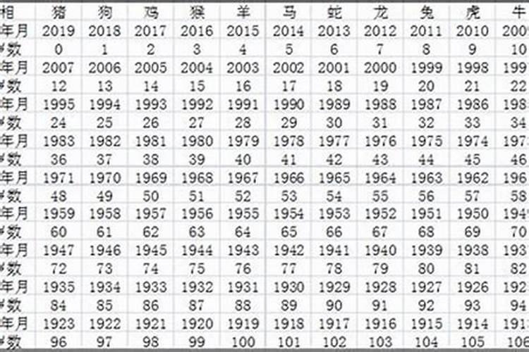 93年属什么虚岁多大