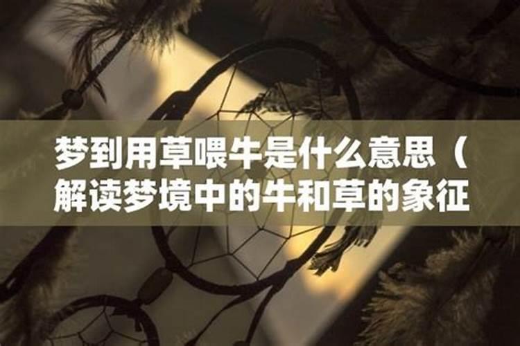 做梦梦见牛是什么意思啊