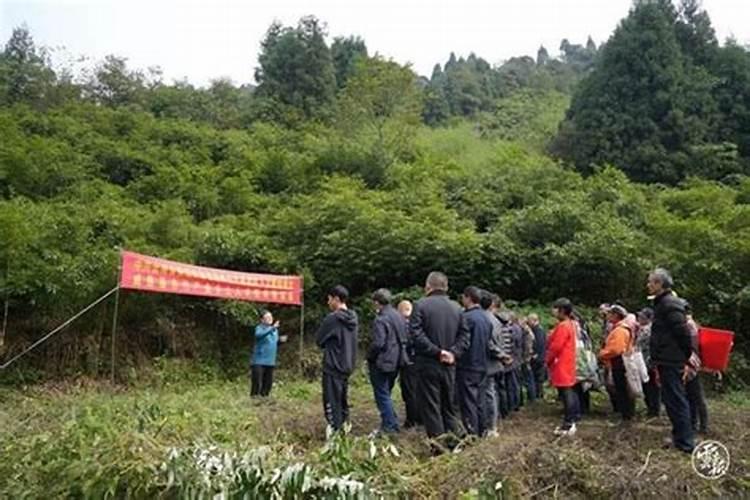 属猪的跟什么配婚姻最好呢女生怎么样