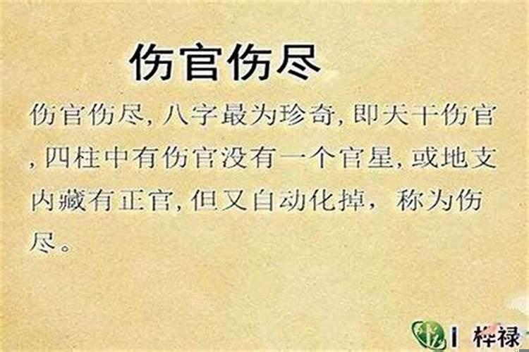 八字中的伤官运是什么意思