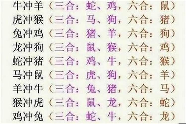 八字算命羊合什么术相好