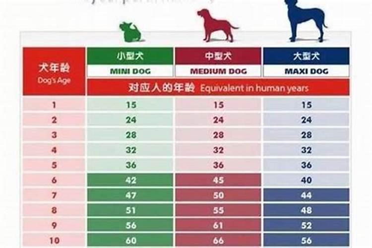 怎样根据生肖推算年龄大小