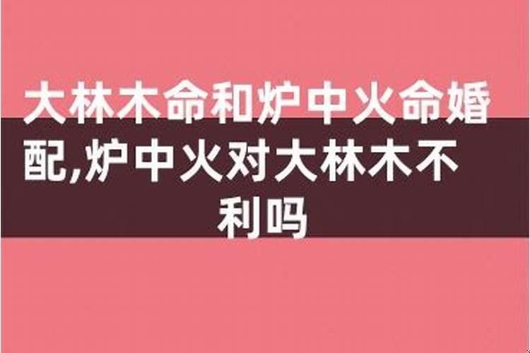 炉中火与大林木：八字命理中的婚姻合婚分析