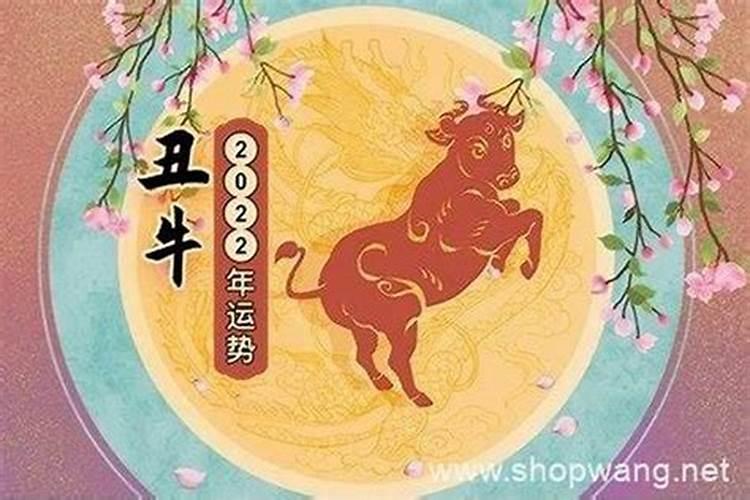 今年属牛运气