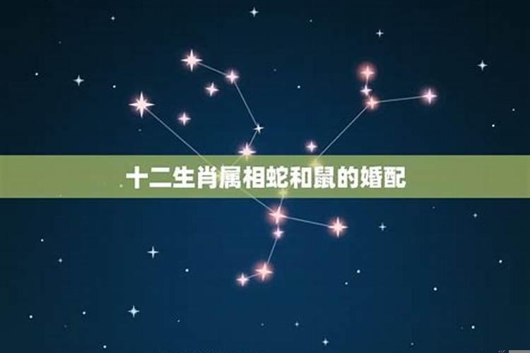 农历生日10月23日是什么星座的呢