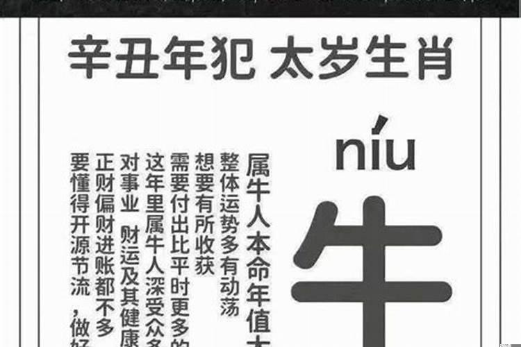 2021牛年犯太岁的5个属相