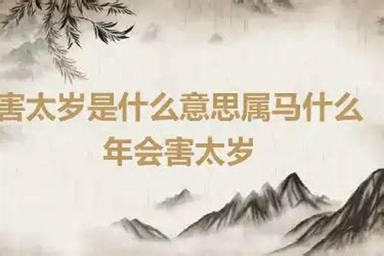 属马的今年害太岁会怎么样