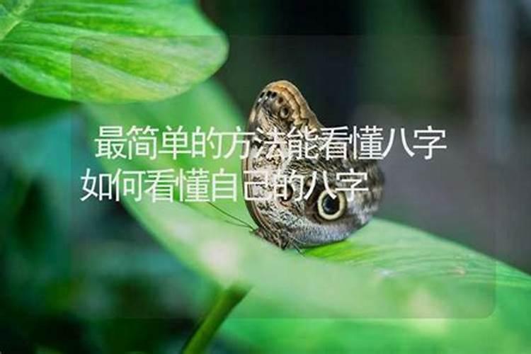 怎么能简单看懂八字命理