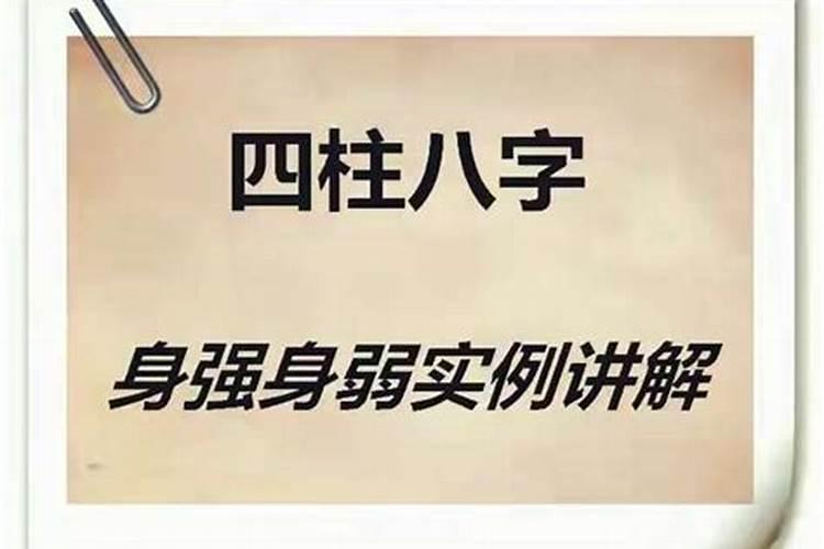 虎蛇和什么生肖相合