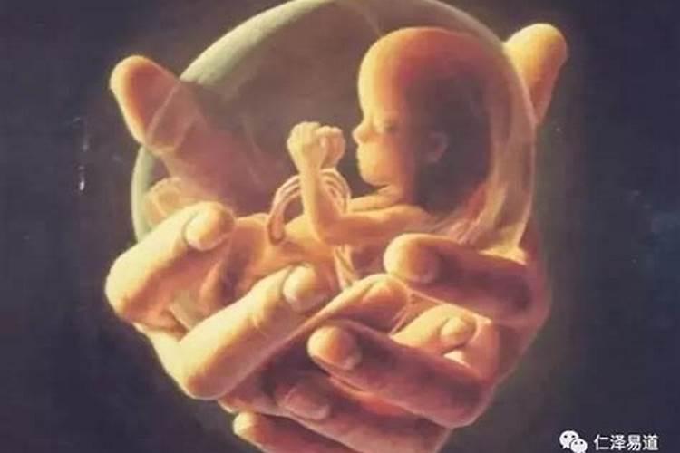 孕囊期堕胎：婴灵的存在与影响